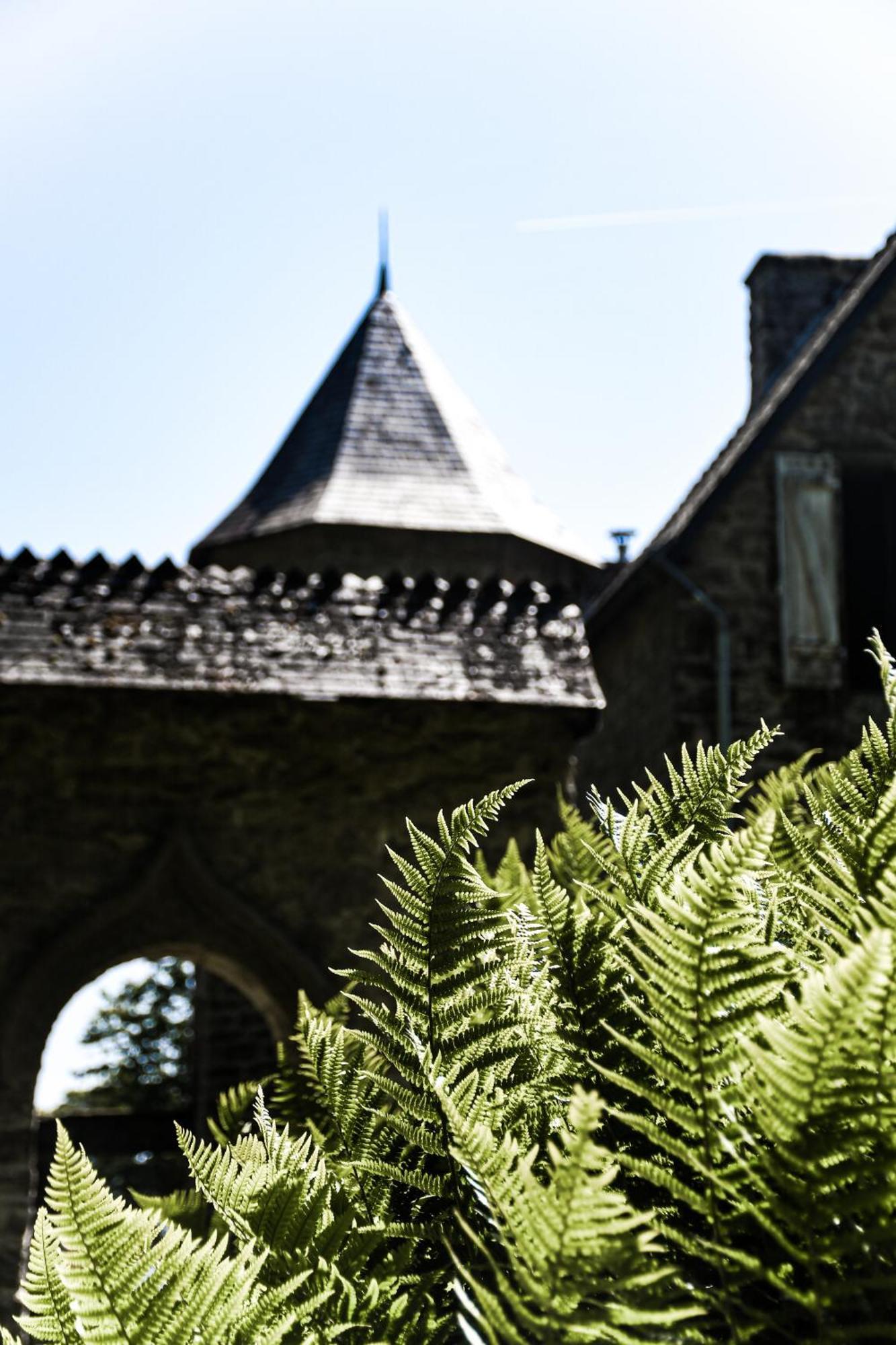 Bed and Breakfast Le Manoir De Menglieu Treffléan Exterior foto